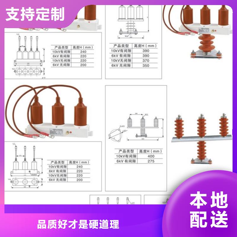 【】过电压保护器(组合式避雷器)TBP-A-35/310购买的是放心