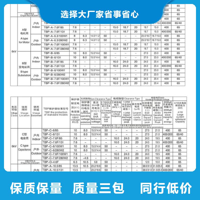 【羿振电力牌】过电压保护器TBP-C-12.7/85<本地>经销商