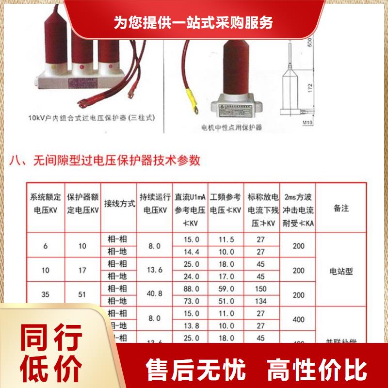 【组合式过电压保护器】TBP-C-6.3/131-J应用广泛