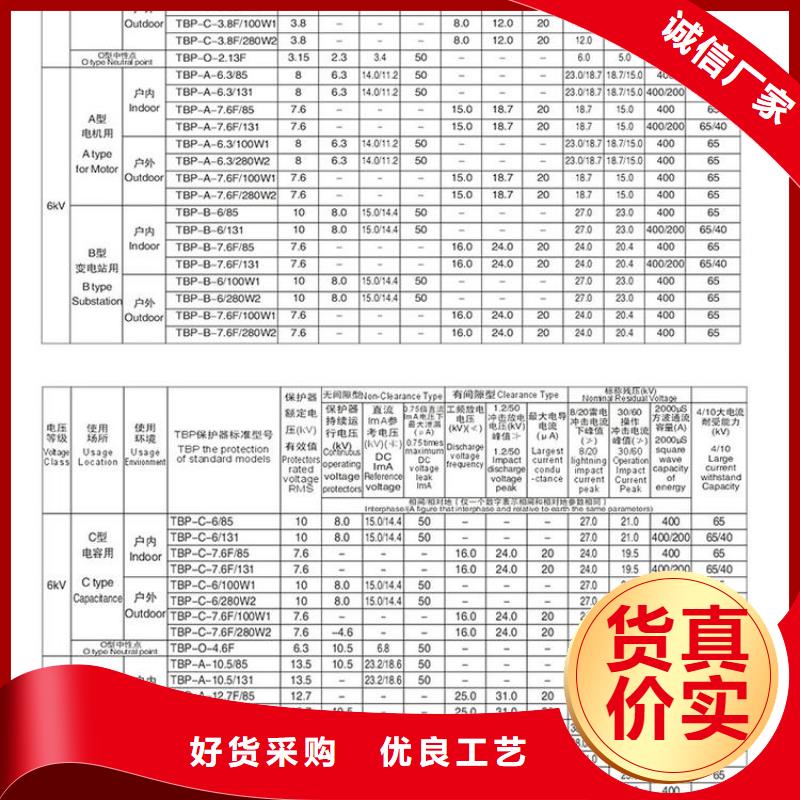 【过电压保护器】TBP-A-10.5/131-J高品质诚信厂家