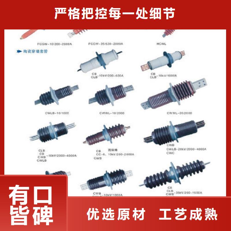 【羿振电力】交流穿墙套管,AC20KV,陶瓷,630A,无CT,铜同城生产厂家