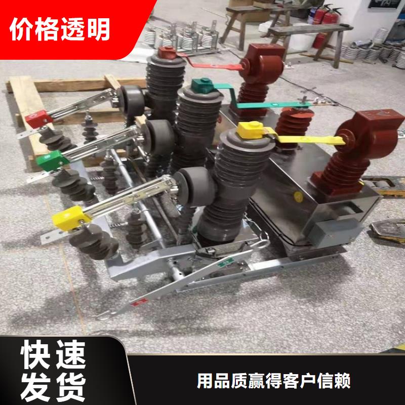 品牌【羿振电气】永磁真空断路器ZW32-12/M630A同城制造商