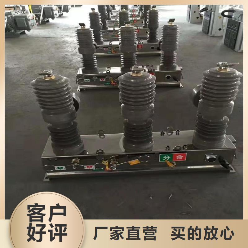 高壓斷路器ZW32-12G/630-20 