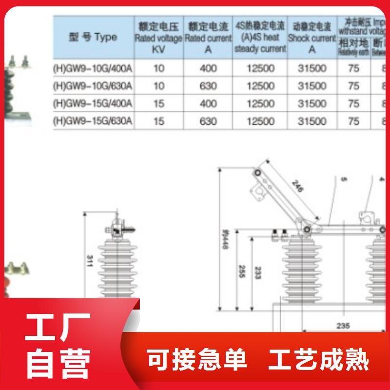 高压隔离开关GW9-15G/630A本地服务商