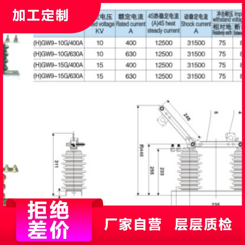 单极隔离开关GW9-40.5W/400本地厂家当地制造商