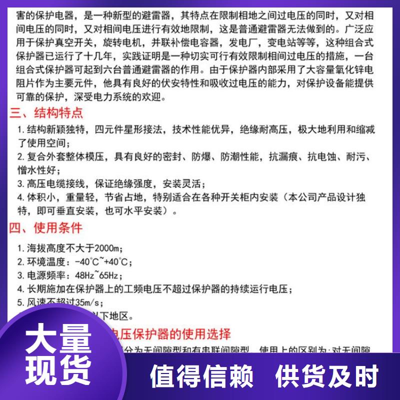 【组合式避雷器/过电压保护器】TBP-B-10.5/85高品质诚信厂家