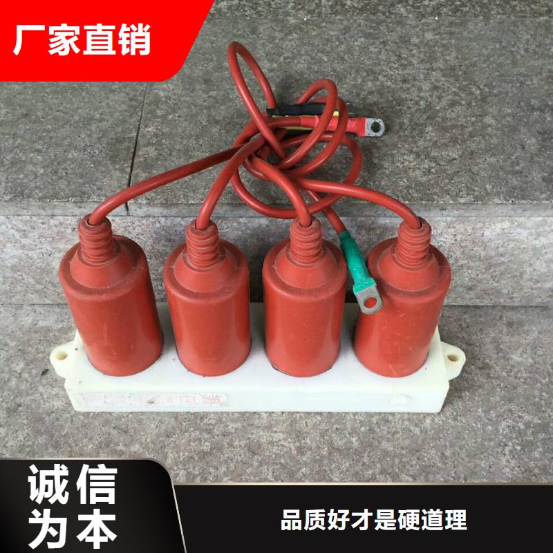 【】过电压保护器(组合式避雷器)TBP-C-7.6F/150有实力有经验