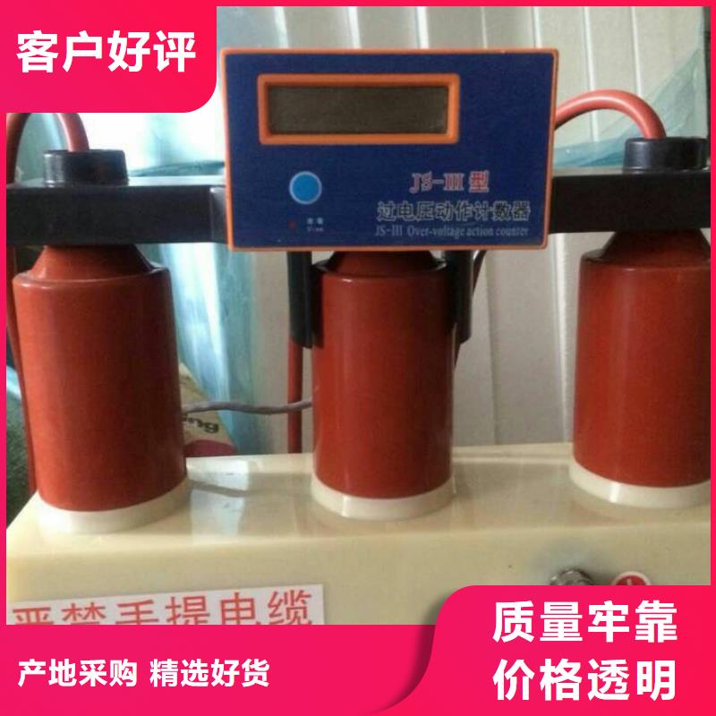 【组合式避雷器/过电压保护器】TBP-A-42F/200当地供应商