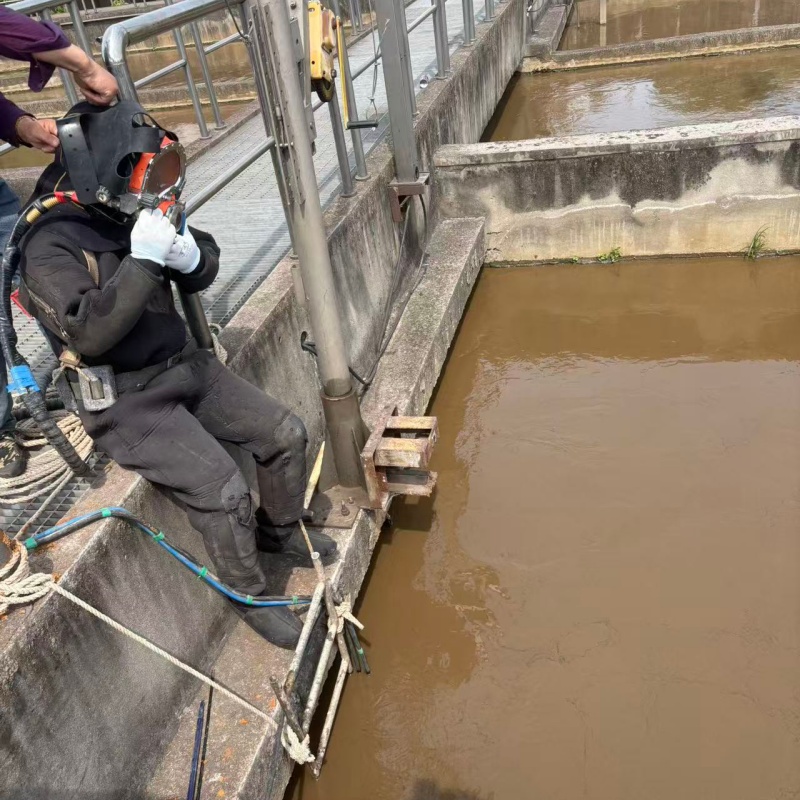 信陽淮濱定制水下管道封堵_品牌廠家