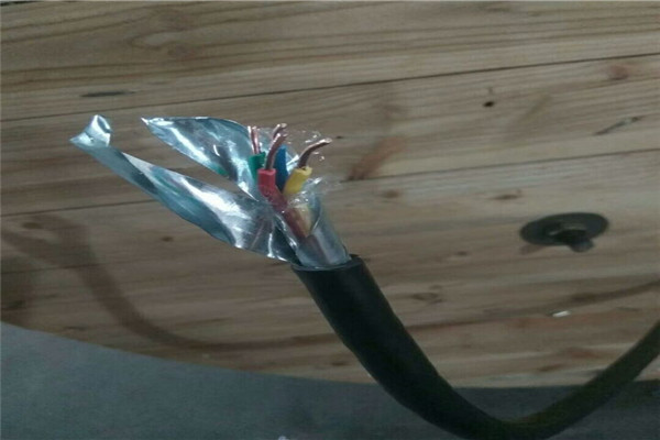 ZR-HYA 20X2X0.7阻燃通信電纜價(jià)格產(chǎn)品實(shí)物圖