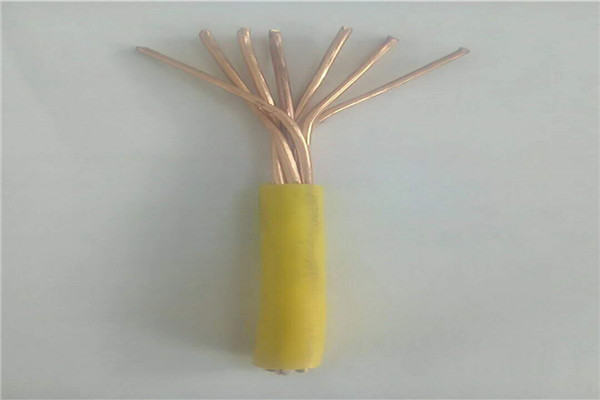 江蘇ZC-DJFPVRP 1X3X1.5阻燃耐高溫計(jì)算機(jī)電纜遠(yuǎn)銷海外