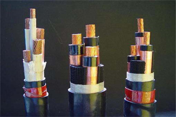 海南RVV電纜-RVV電纜經(jīng)驗(yàn)豐富