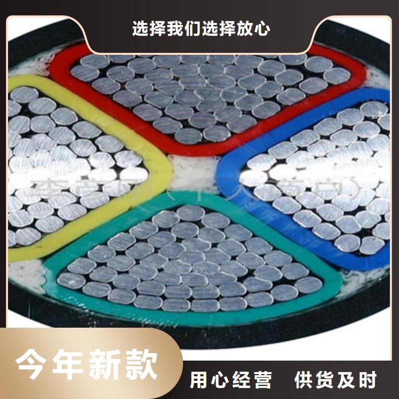 仙居WDZN(B)-YJY鋼帶鎧裝電力電纜