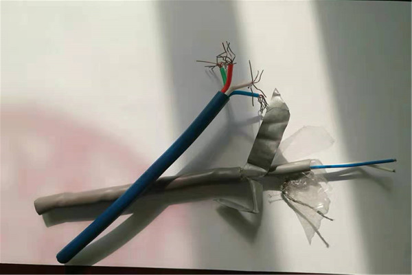 質(zhì)量優(yōu)的昌江縣阻燃鎧裝屏蔽控制電纜ZR-KVVP2-22 供貨商