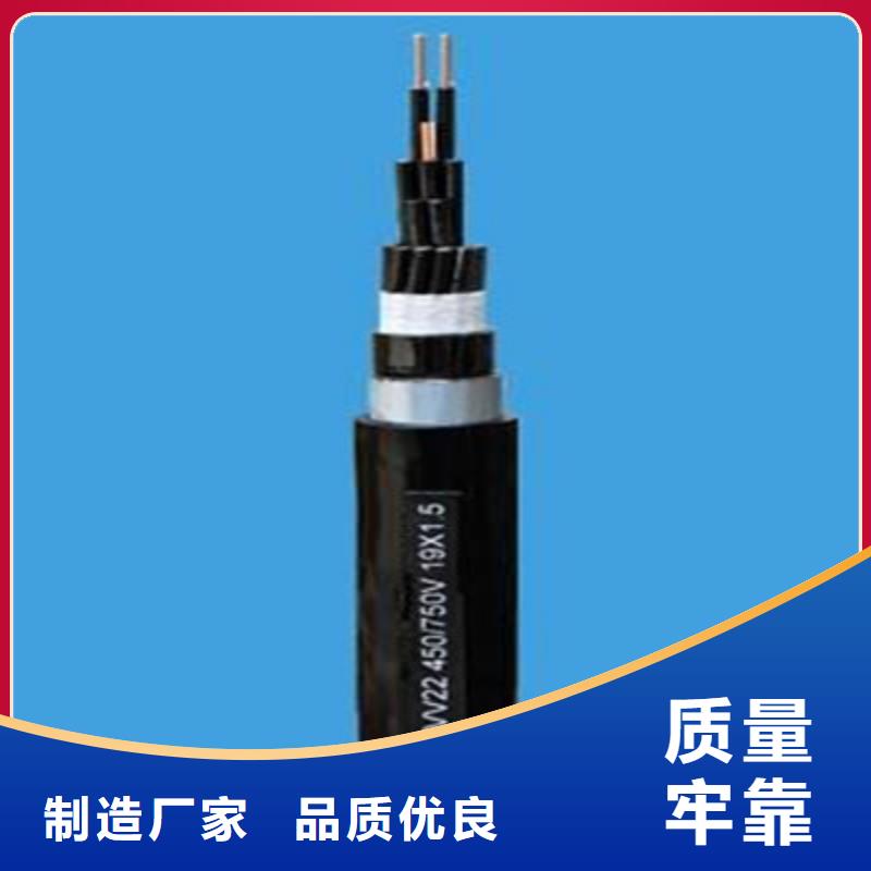 控制電纜【煤礦用阻燃信號(hào)電纜】高質(zhì)量高信譽(yù)當(dāng)?shù)毓?yīng)商