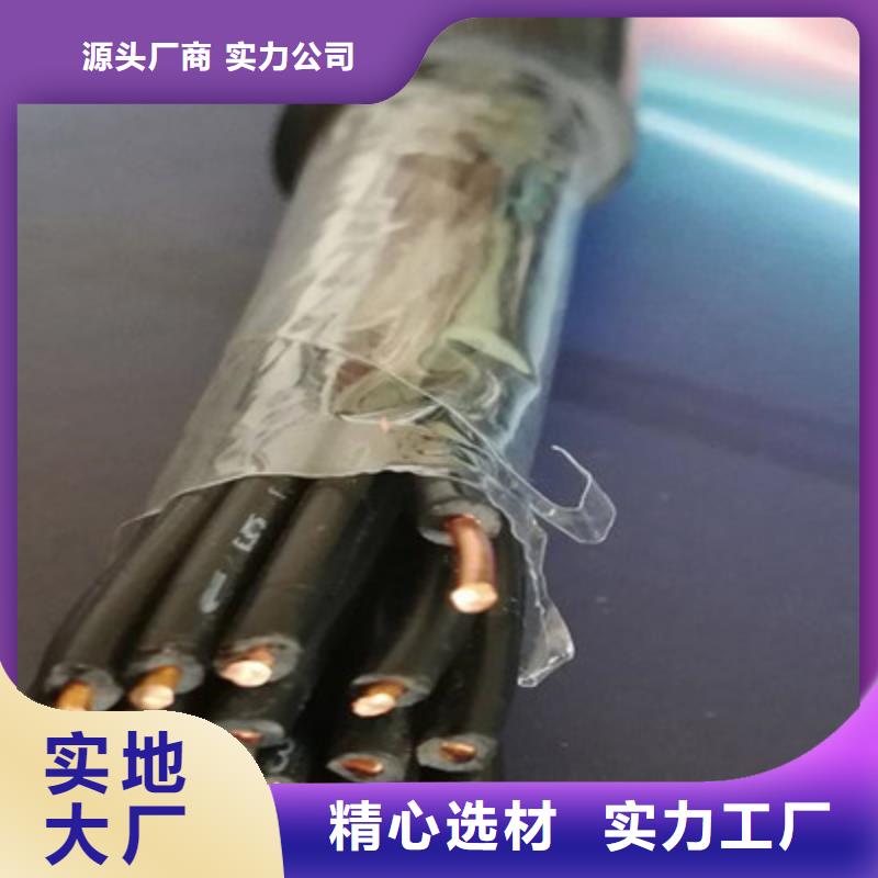 控制電纜阻燃電纜廠家好貨有保障老客戶鐘愛
