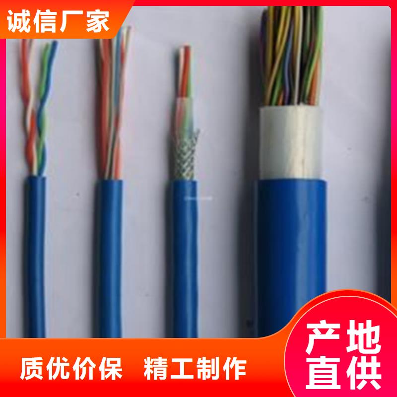 礦用通信電纜_鐵路信號電纜性能穩(wěn)定同城生產(chǎn)廠家