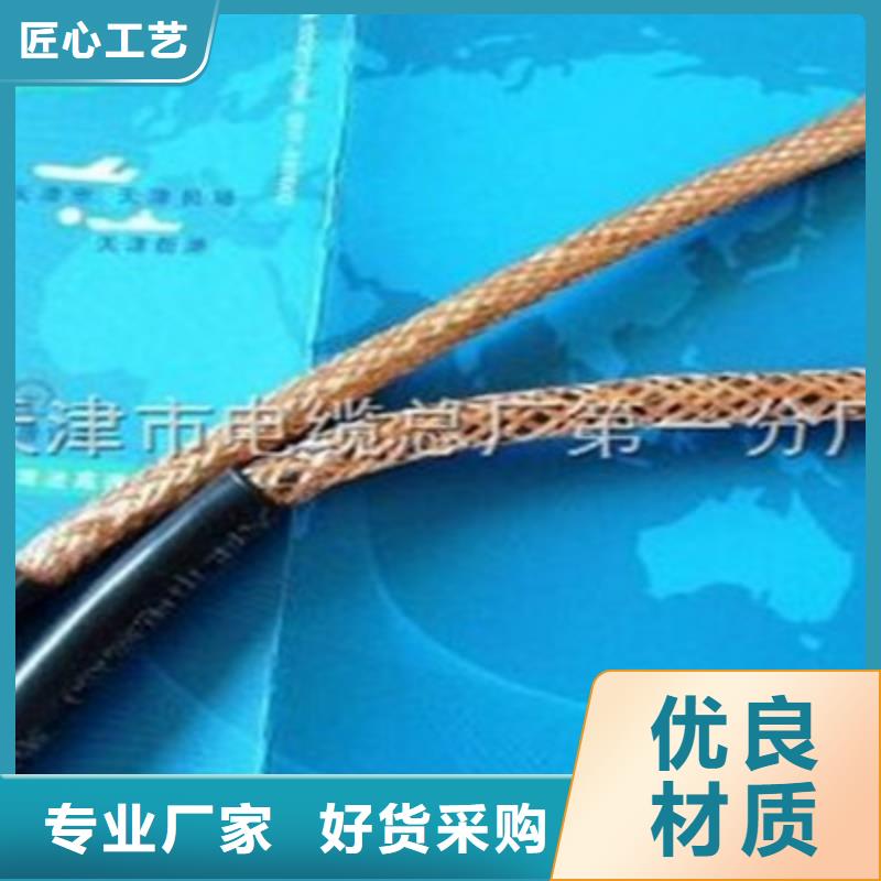 龍巖DJFP2F 高溫電纜無中間商