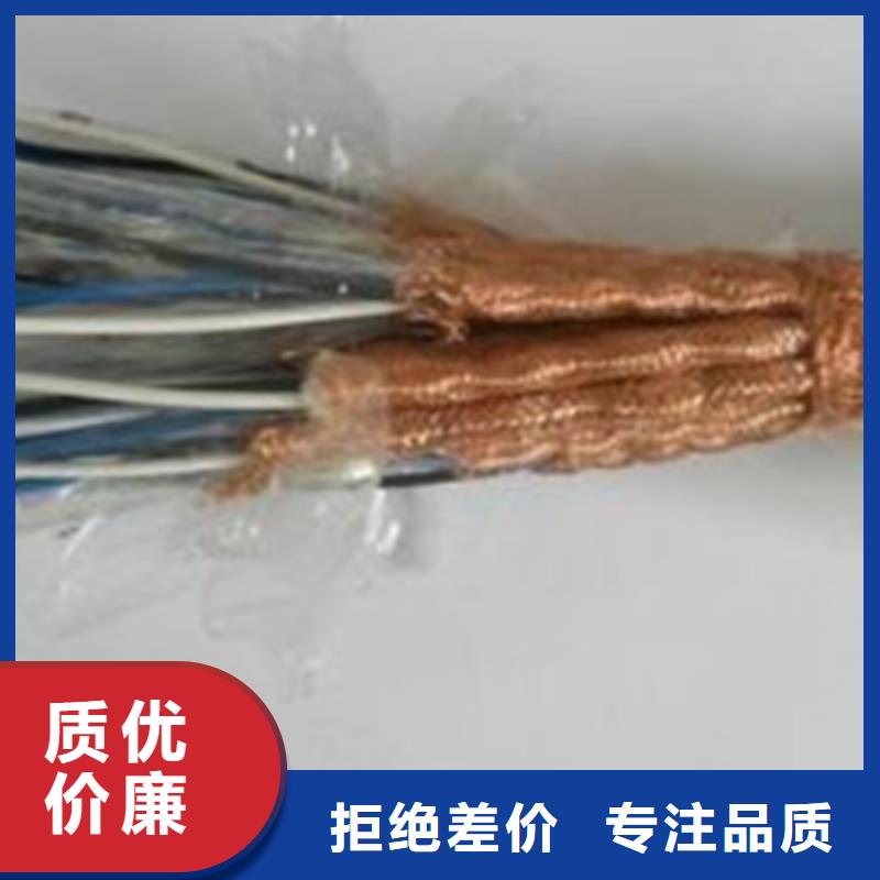 计算机耐高温电缆DJFP2VP214X2X0.5好品质用的放心