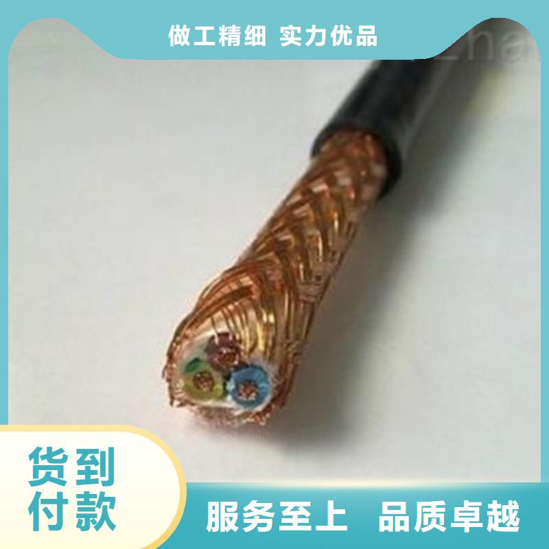 计算机耐高温电缆DJFPV欢迎咨询甄选好厂家