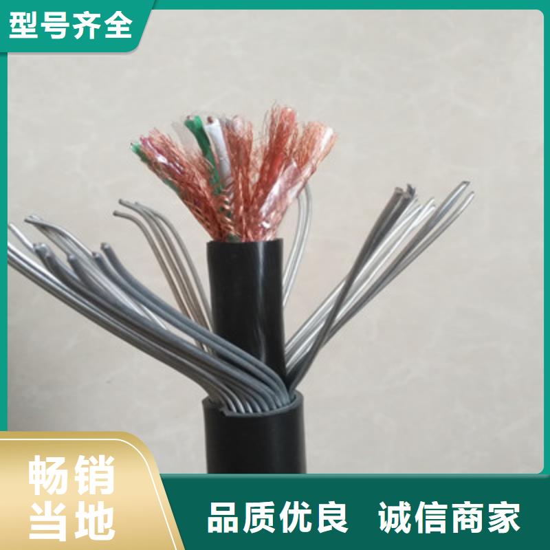 耐高溫電纜,屏蔽電纜源頭廠家供應有口皆碑