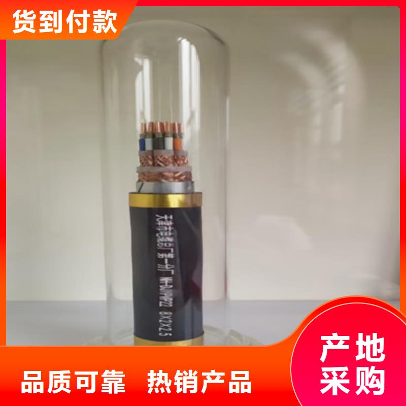 東營阻燃鎧裝高溫線纜ZR192-KFVP2-2219X0.75