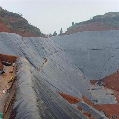 遂州土工膜防滲膜制造生產(chǎn)銷售