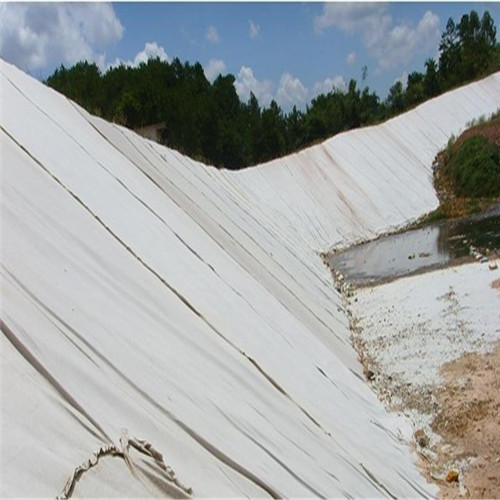 清苑土工布復(fù)合土工布實力派廠家