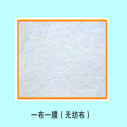 龍子湖土工布_土工布廠家直銷省心省錢