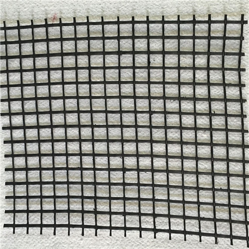 愛民土工格柵HDPE單向土工格柵多年實力廠家