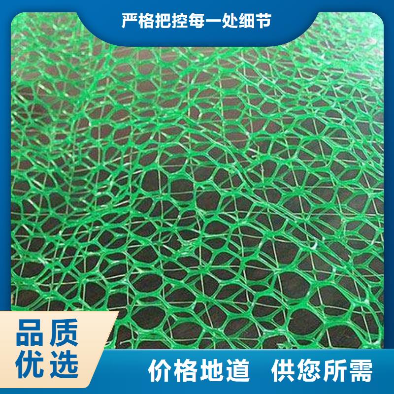 三维植被网种类齐全本地生产商