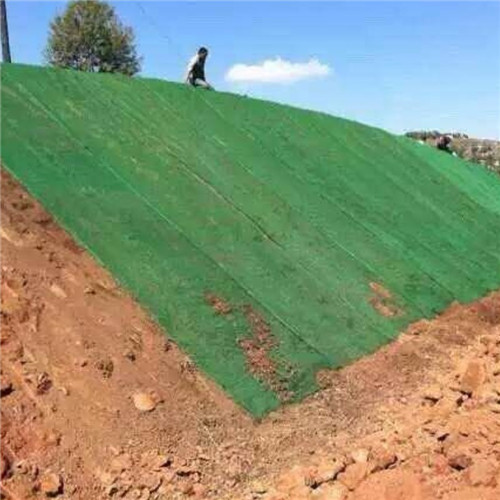 建德三維植被網(wǎng)_三維土工網(wǎng)墊當?shù)貜S家值得信賴