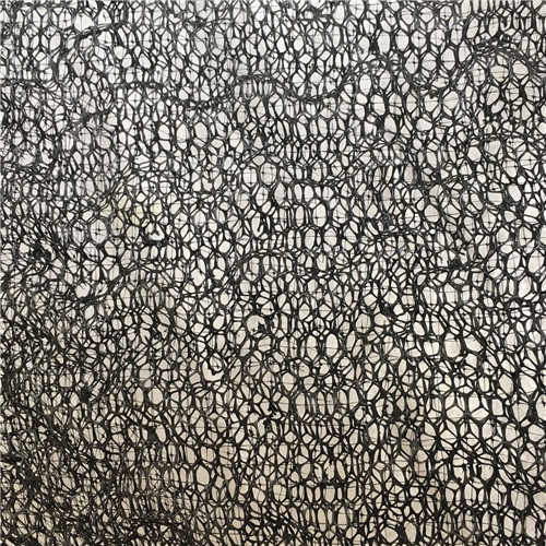 白銀三維植被網(wǎng)三維土工網(wǎng)墊按需設(shè)計(jì)