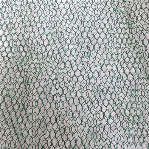 三維植被網_三維土工網庫存豐富