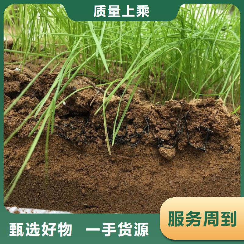 水土保护毯膨润土防水毯高质量高信誉用心制作