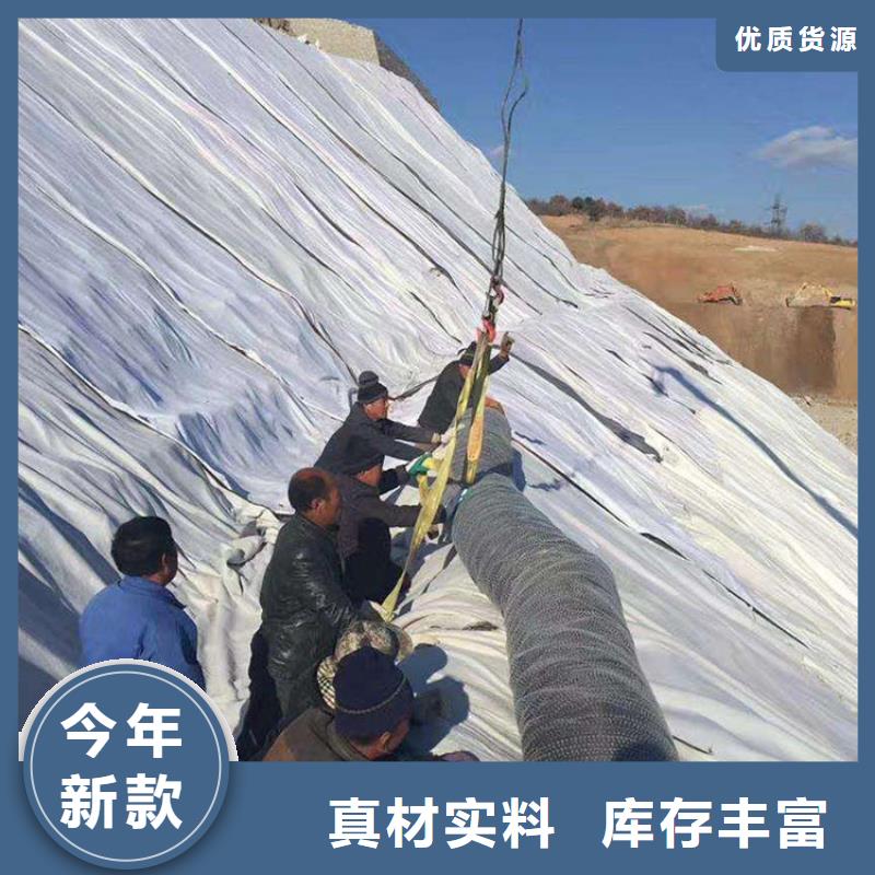 膨润土防水毯-土工膜每个细节都严格把关当地公司