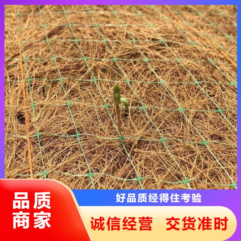 护坡植被植草毯护坡生态草毯[当地]生产厂家