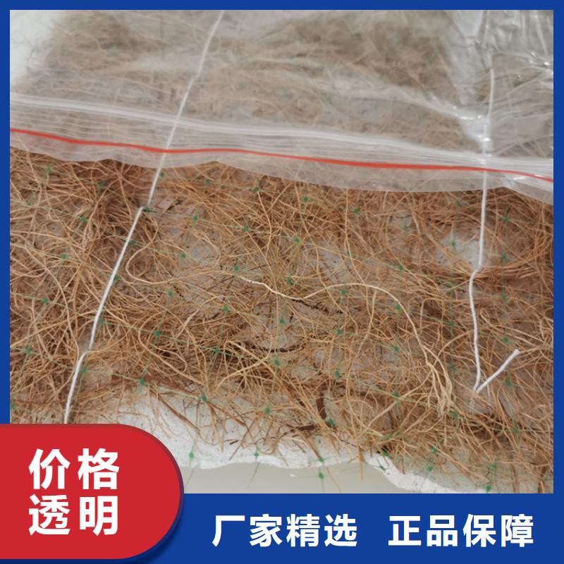 生态植物防护毯品质卓越