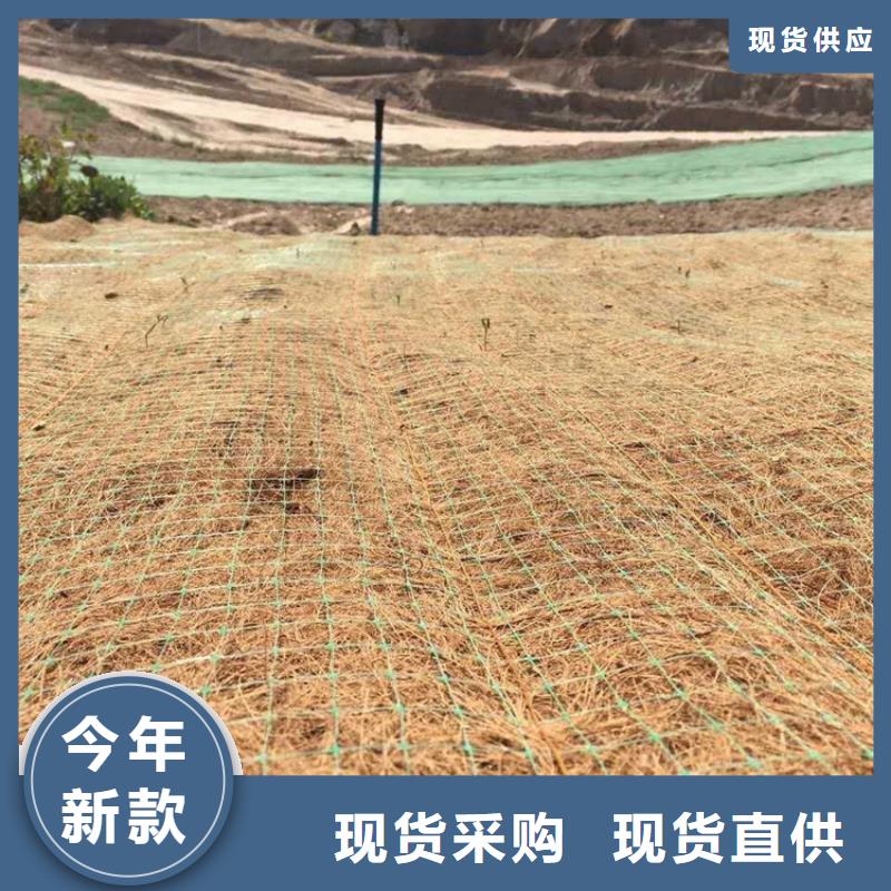 水保抗冲生物毯生态植物防护毯技术先进