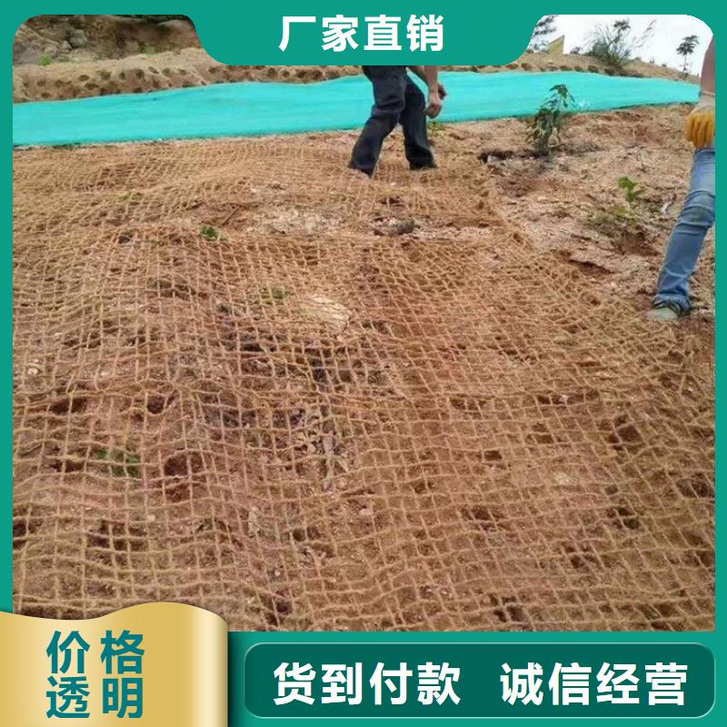 水保植生毯施工案例[当地]公司