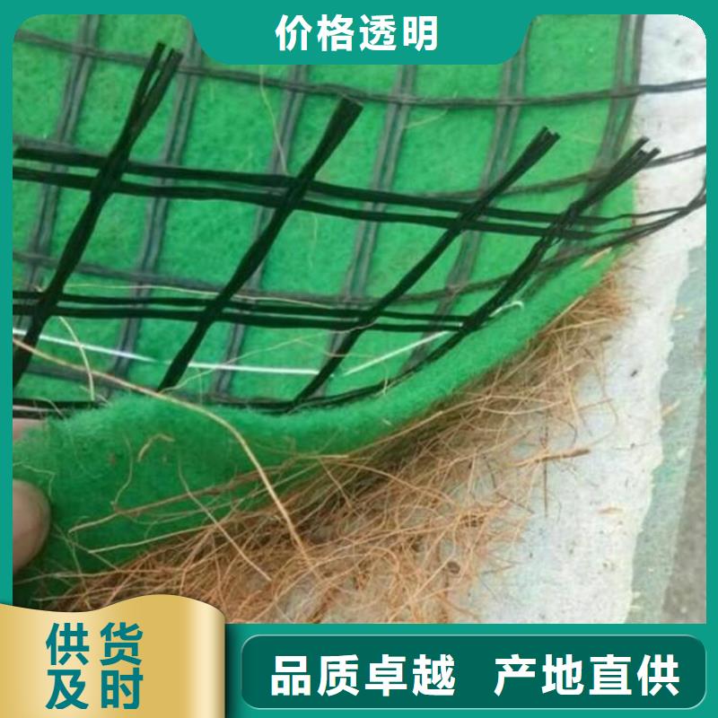 生态植物防护毯护坡植被植草毯质量无忧