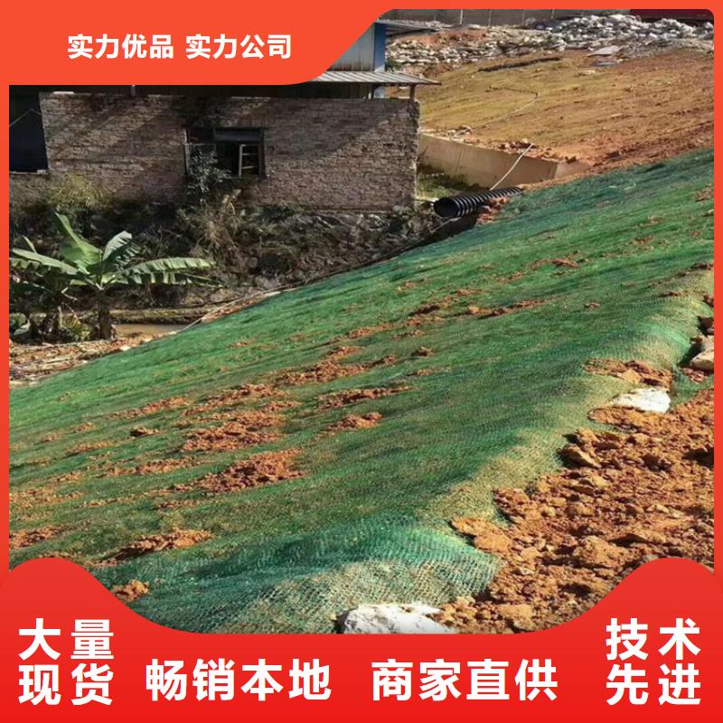 生态植物防护毯有限公司地址厂家采购