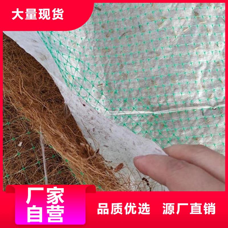 椰丝植生毯附近厂家