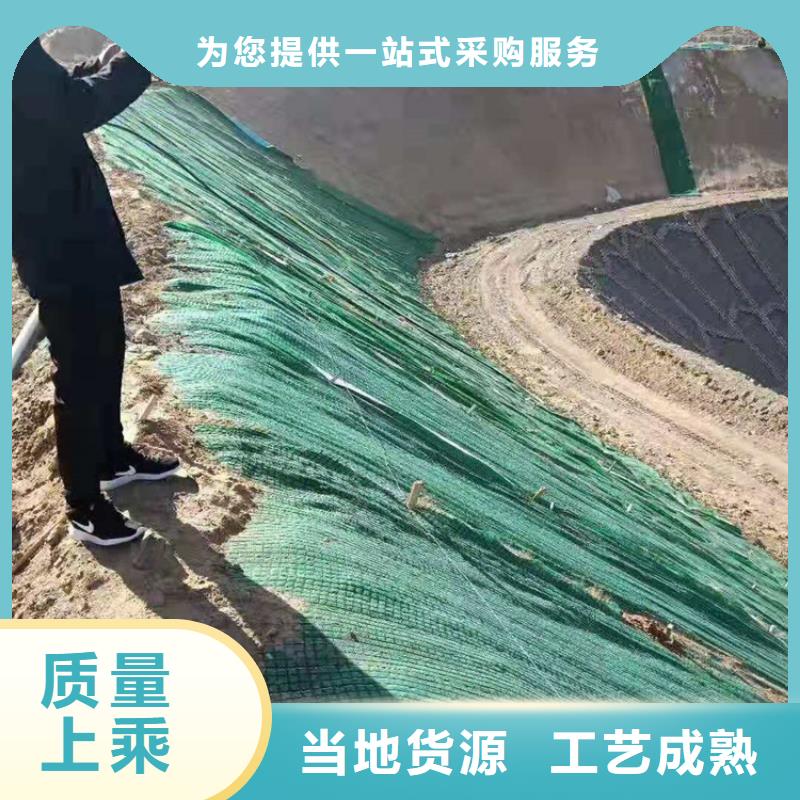 环保植生毯诚信商家服务热情