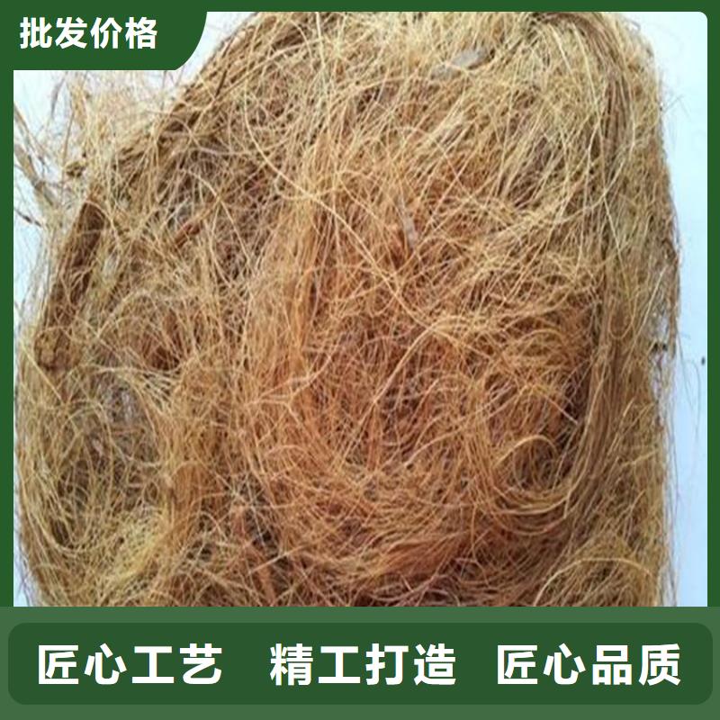 植物纤维毯水保抗冲生物毯质优价保