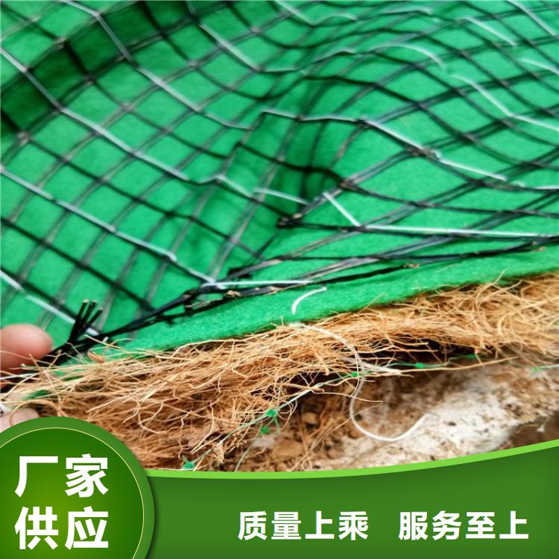 椰丝植生毯强度颜色附近制造商