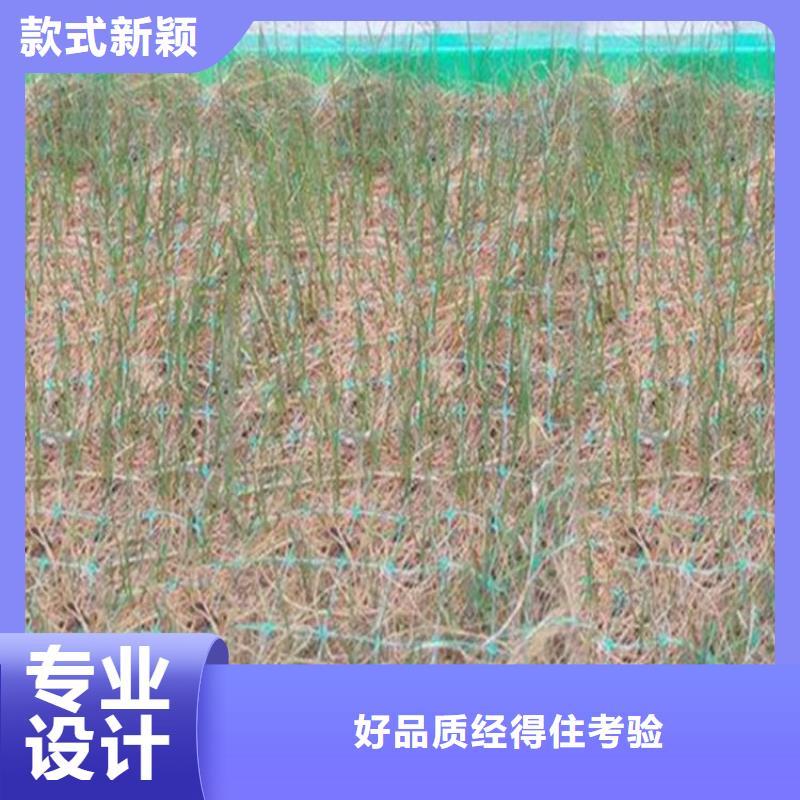 ​加筋抗冲生态毯植生椰丝毯同城服务商