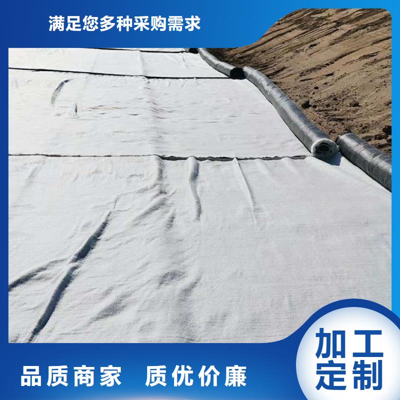 吉林4500g覆膜膨潤(rùn)土防水毯