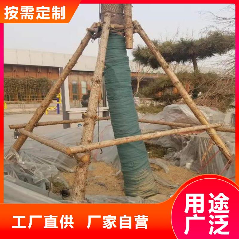 裹树布土工格栅实力公司当地货源