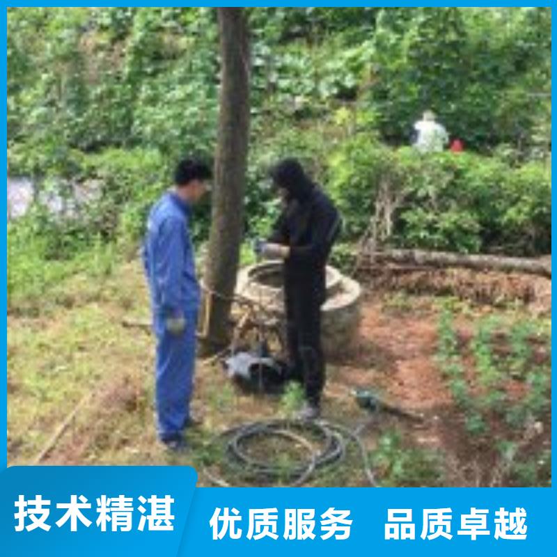 供应污水池蛙人封堵管道_精选厂家技术可靠